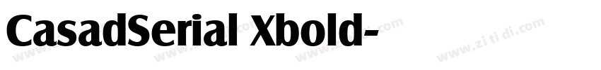 CasadSerial Xbold字体转换 CasadSerial Xbold字体转换